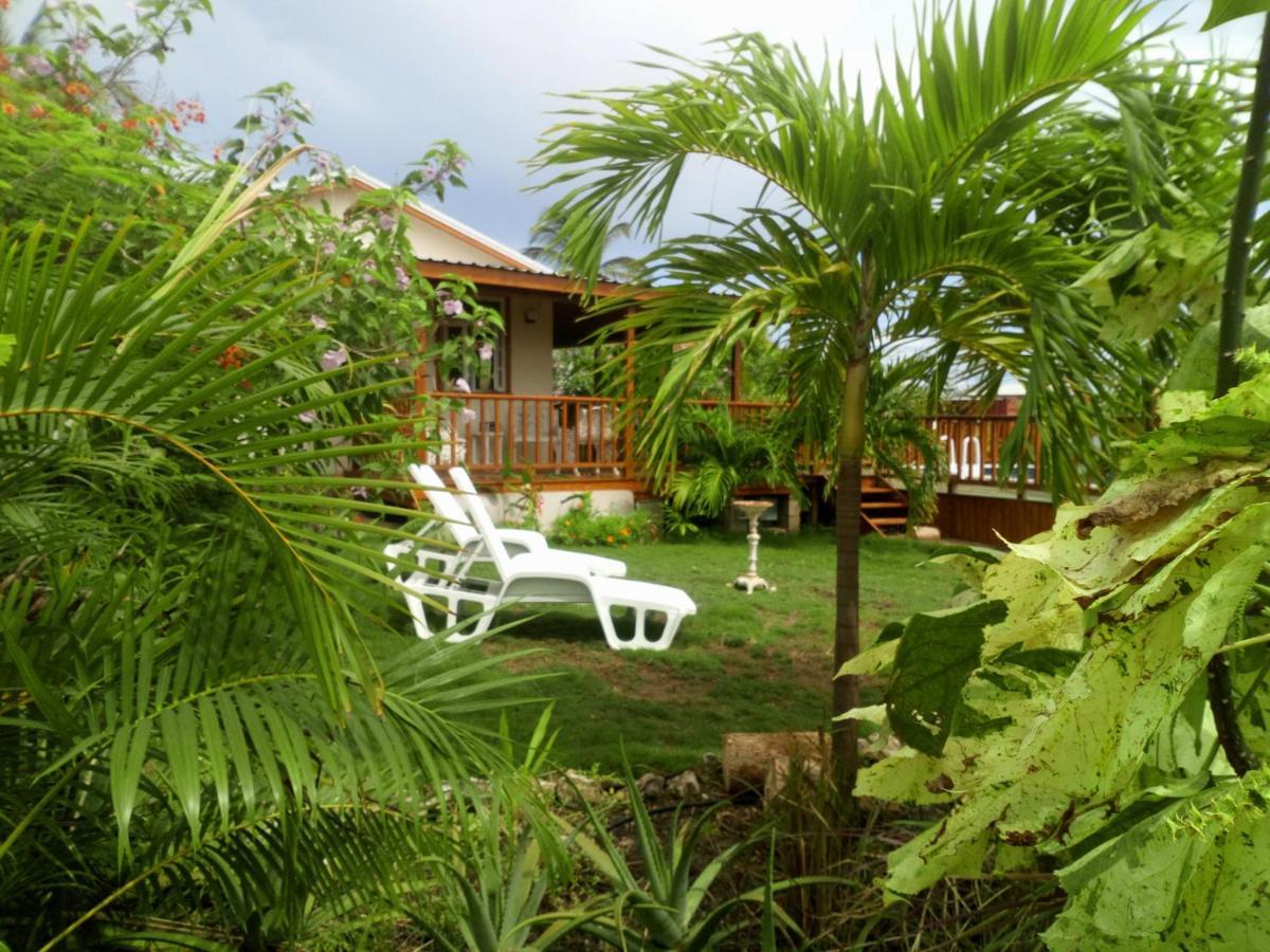 The Pool House Villa Saint Philip Exterior photo